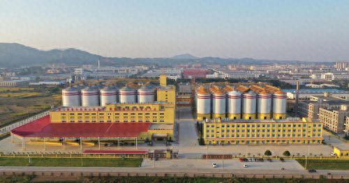 花生油到全品类的卓越之旅！pg麻将胡了鲁花集团：从(图1)