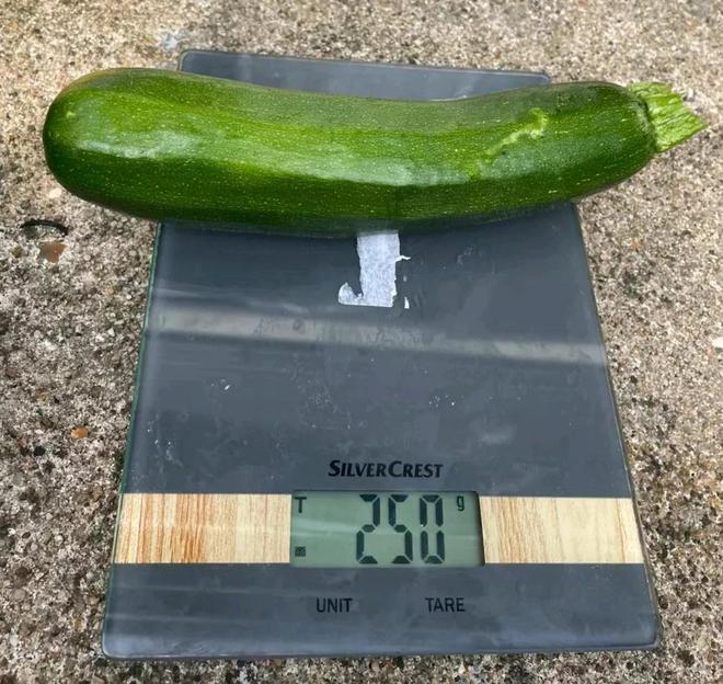 有双色的半截绿半截黄还有深绿色的像南瓜麻将胡了试玩网站免费欧洲的西葫芦居然(图6)