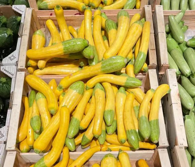 有双色的半截绿半截黄还有深绿色的像南瓜麻将胡了试玩网站免费欧洲的西葫芦居然(图2)