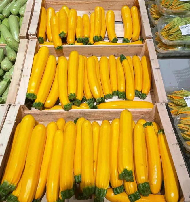 有双色的半截绿半截黄还有深绿色的像南瓜麻将胡了试玩网站免费欧洲的西葫芦居然(图3)