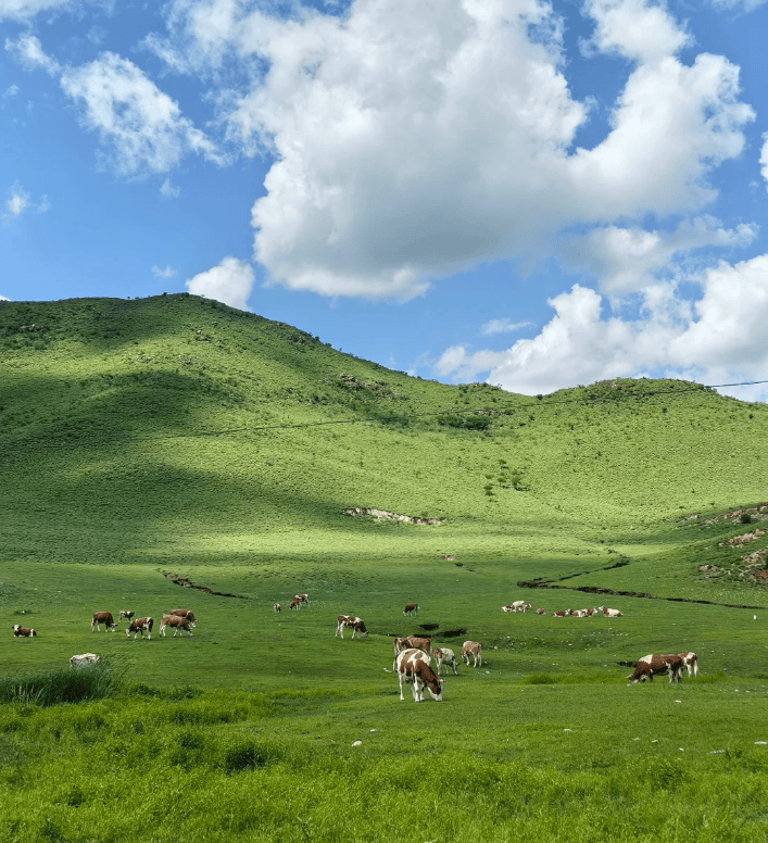去景区特色玩法+旅游价格+国庆出行避堵贴士+导游推荐PG麻将胡了试玩内蒙古5日游最佳路线升级！含内蒙古必(图2)